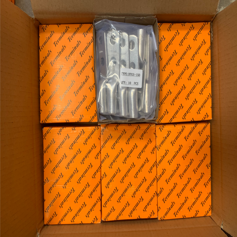 DTGS Double Holes Copper Cable Lugs 10